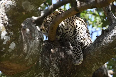 DSC_3976 (Large).JPG